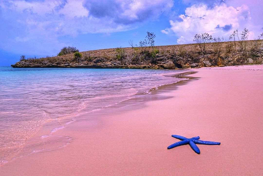 Keindahan Pantai Pink Lombok, Jadi Incaran Wisatawan Mancanegara -  TRAVELXPLORE.ID